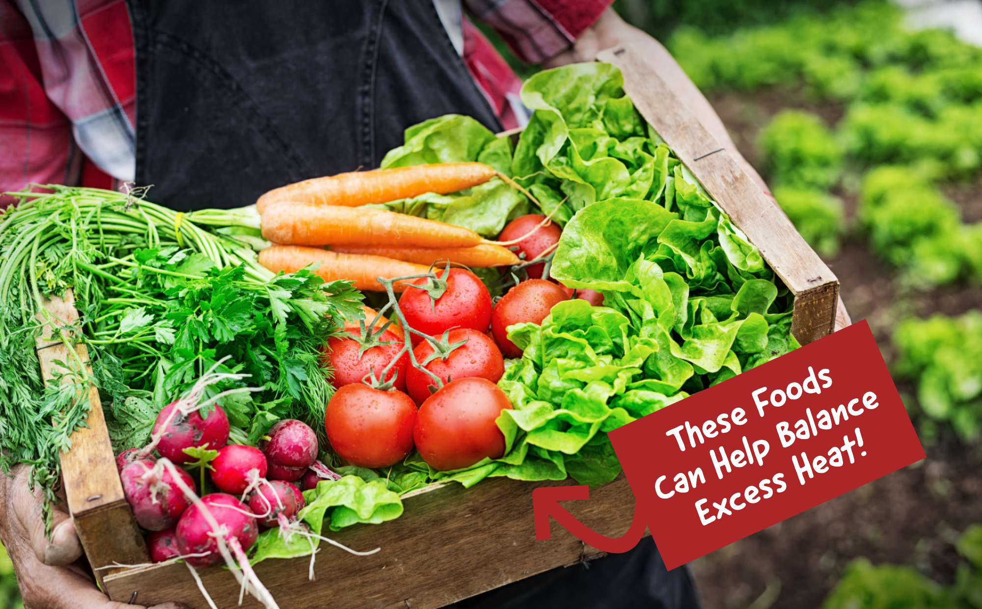 Органические овощи. Organic and non organic. Органик фуд логотип. Organic foods are. Usda organic.