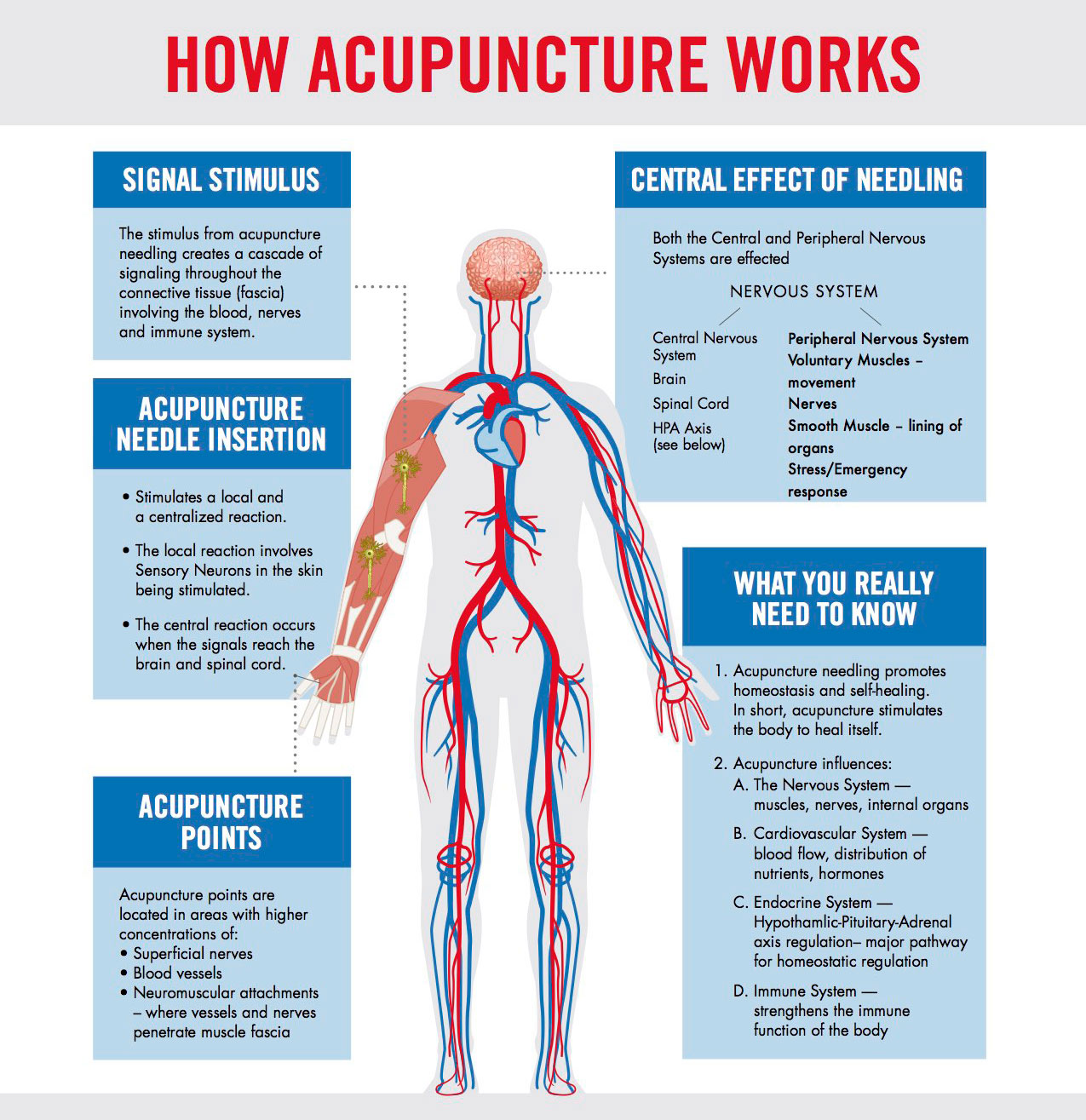 inflammation and acupuncture